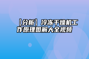 【分析】冷冻干燥机工作原理图解大全视频