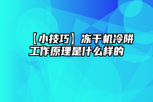 【小技巧】冻干机冷阱工作原理是什么样的