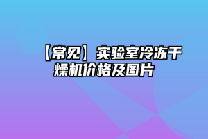 【常见】实验室冷冻干燥机价格及图片