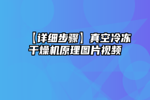 【详细步骤】真空冷冻干燥机原理图片视频