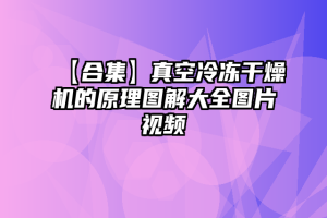 【合集】真空冷冻干燥机的原理图解大全图片视频