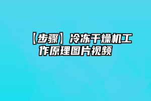 【步骤】冷冻干燥机工作原理图片视频