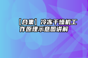 【合集】冷冻干燥机工作原理示意图讲解