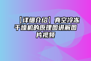 【详细介绍】真空冷冻干燥机的原理图讲解图片视频