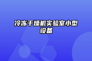 冷冻干燥机实验室小型设备