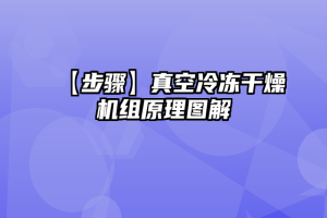 【步骤】真空冷冻干燥机组原理图解