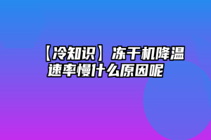 【冷知识】冻干机降温速率慢什么原因呢