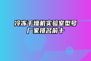 冷冻干燥机实验室型号厂家排名前十