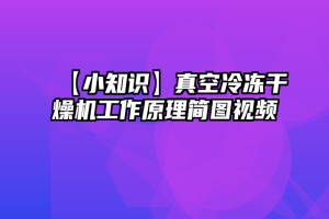 【小知识】真空冷冻干燥机工作原理简图视频