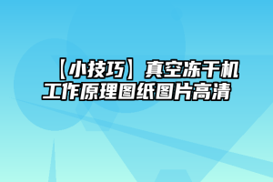 【小技巧】真空冻干机工作原理图纸图片高清