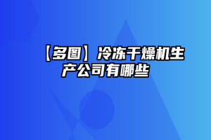 【多图】冷冻干燥机生产公司有哪些