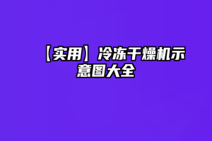 【实用】冷冻干燥机示意图大全