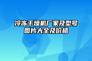 冷冻干燥机厂家及型号图片大全及价格