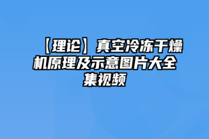 【理论】真空冷冻干燥机原理及示意图片大全集视频