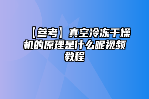 【参考】真空冷冻干燥机的原理是什么呢视频教程