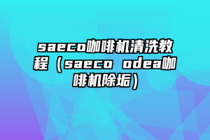 saeco咖啡机清洗教程（saeco odea咖啡机除垢）