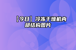 【今日】冷冻干燥机内部结构图片