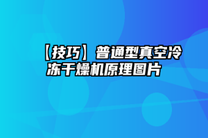 【技巧】普通型真空冷冻干燥机原理图片