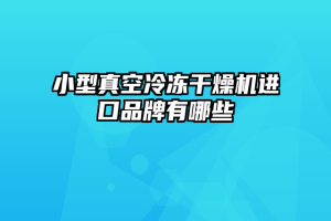 小型真空冷冻干燥机进口品牌有哪些