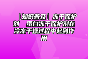 【知识普及】冻干保护剂 ▏蛋白冻干保护剂在冷冻干燥过程中起到作用