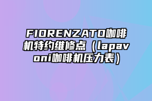 FIORENZATO咖啡机特约维修点（lapavoni咖啡机压力表）