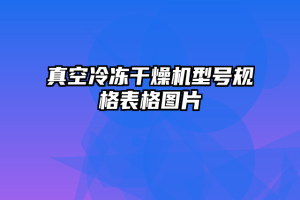 真空冷冻干燥机型号规格表格图片